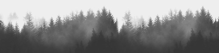 Lyric wines nature trees forest wide landscape